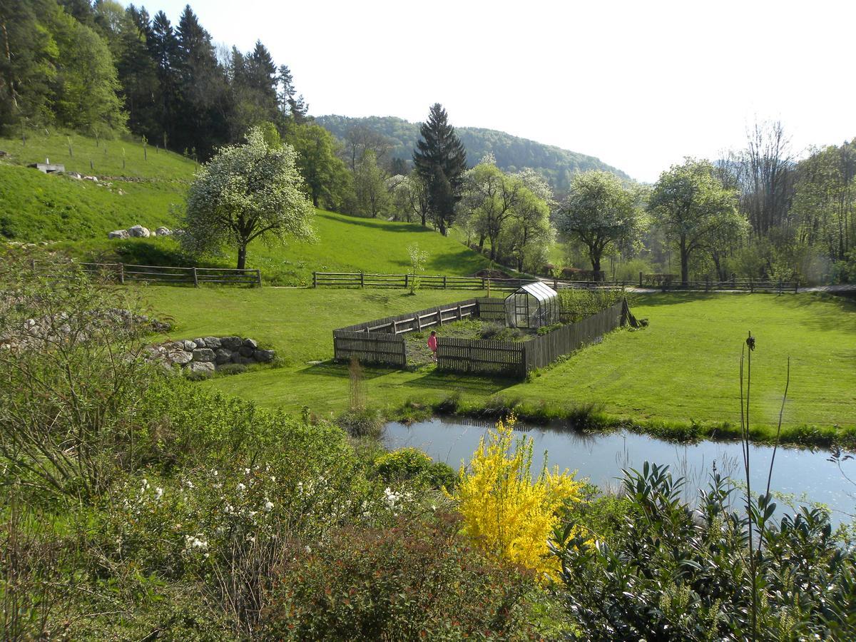 Zeidelhof *