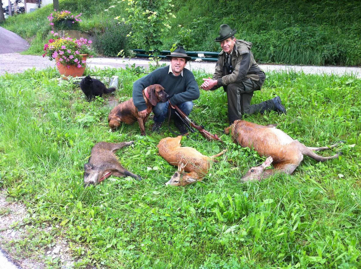 Farm stay Zeidelhof *